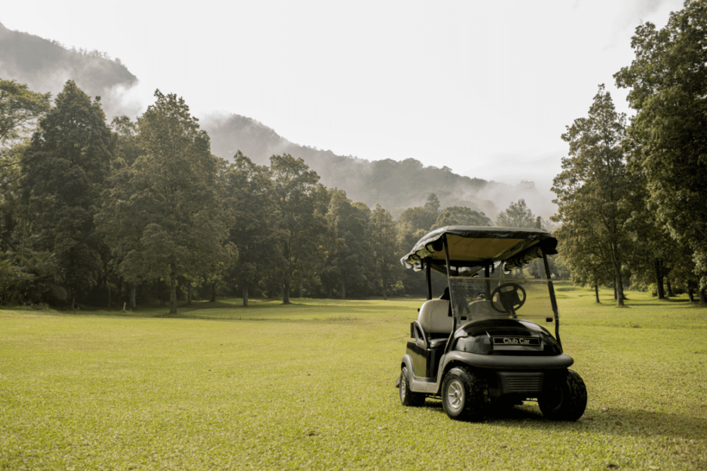 carro de golf